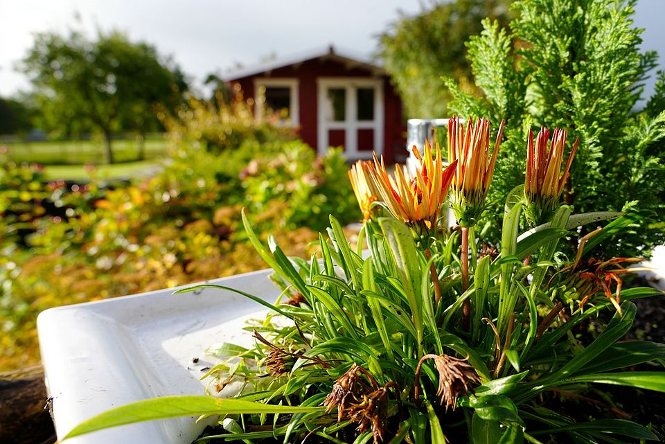 Garten Tagespflege Hemmoor