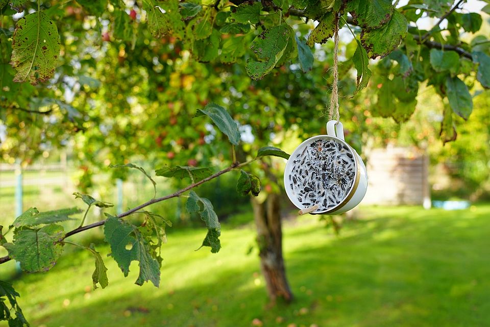 Garten Tagespflege Hemmoor